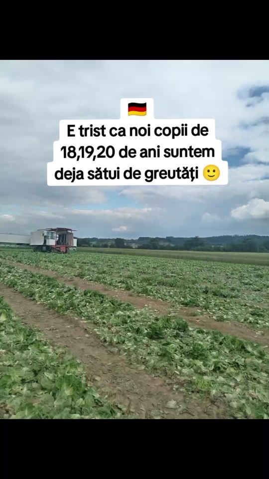 TikTok video thumbnail by alexandraiuliana870