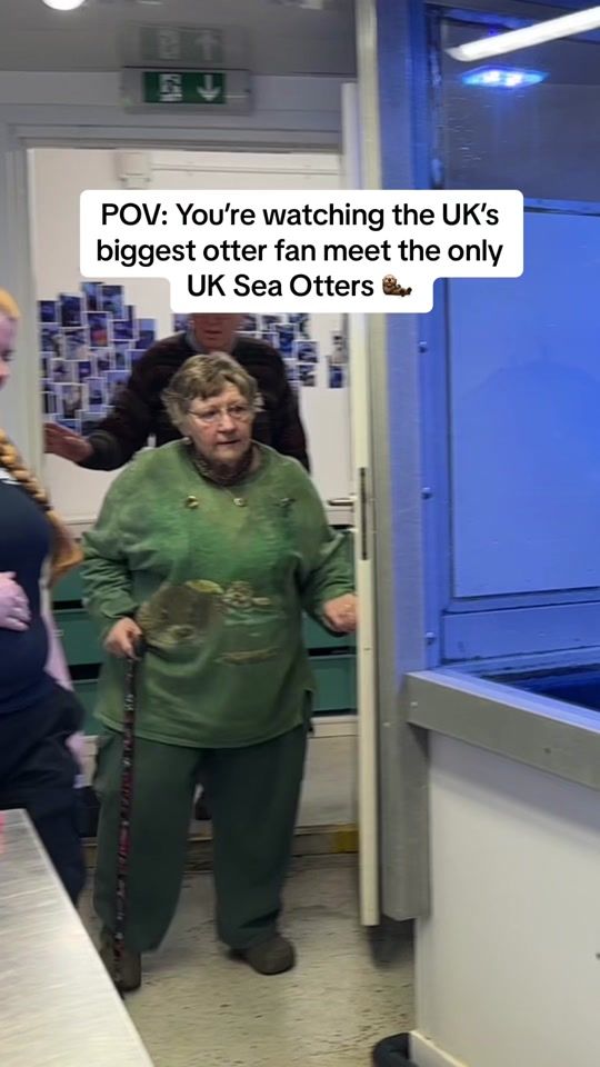 TikTok video thumbnail by sealifeuk