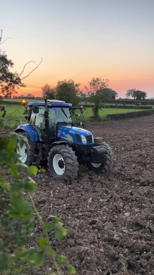 TikTok video thumbnail by malachymcgra