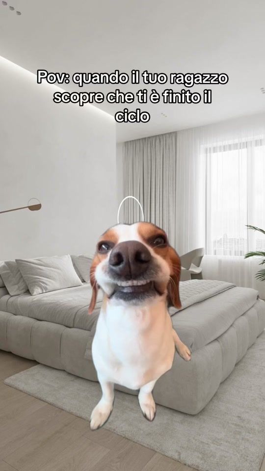 TikTok video thumbnail by mirunamatei_