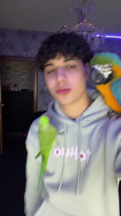 TikTok video thumbnail by mo_45632
