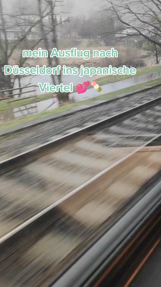 TikTok video thumbnail by jojocha52