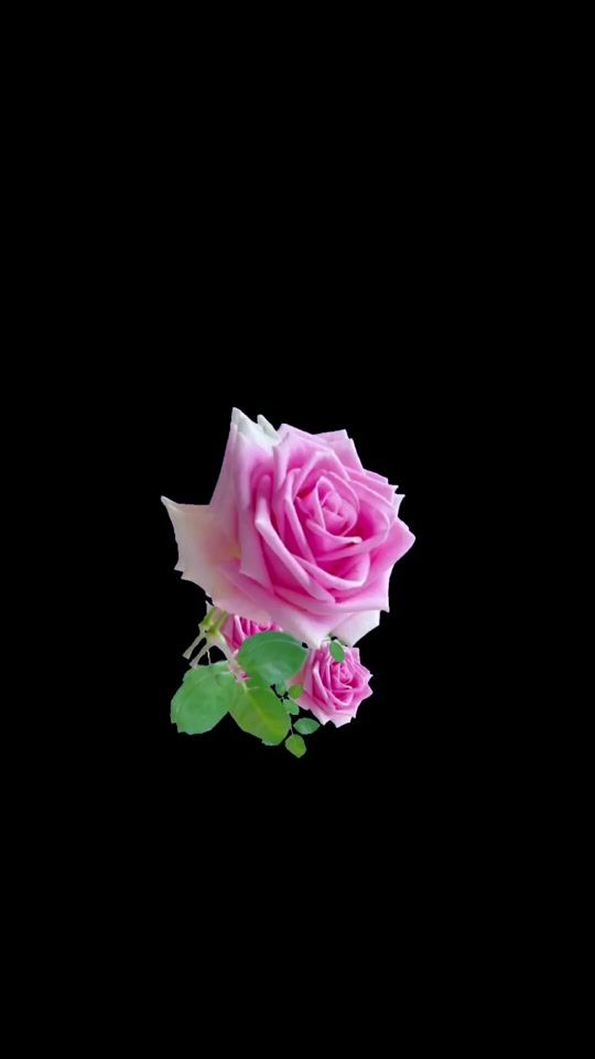 TikTok video thumbnail by abdou_ham