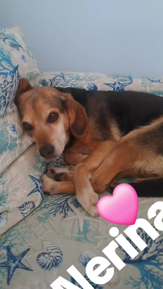 TikTok video thumbnail by simonabeagle