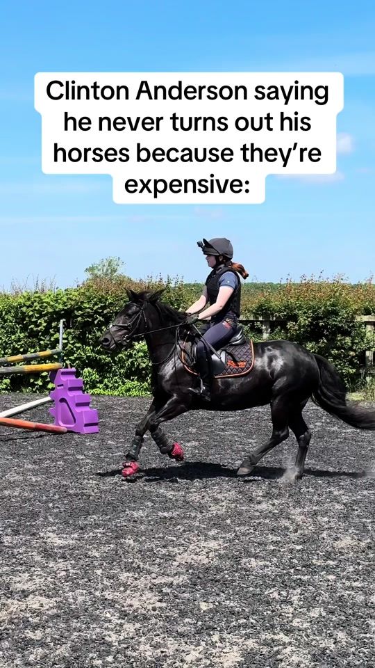 TikTok video thumbnail by mags_the_fell_pony