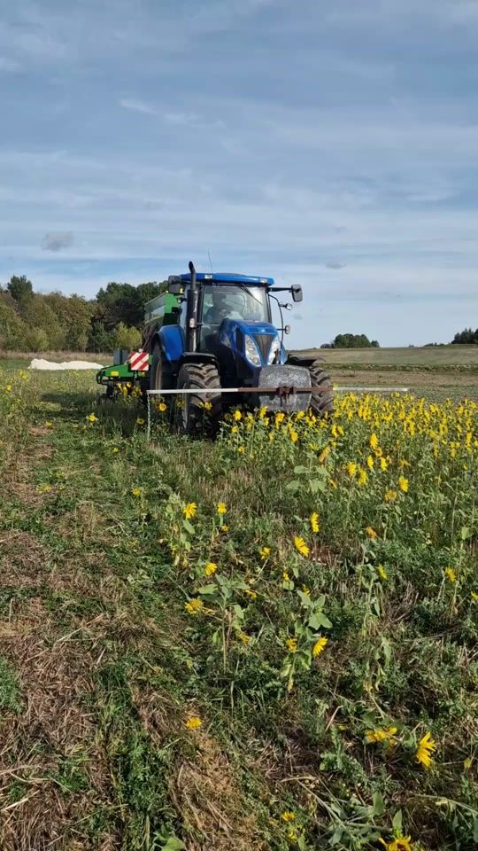 TikTok video thumbnail by lulumelon16