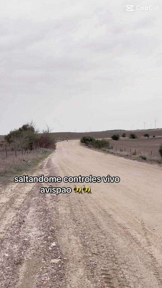 TikTok video thumbnail by daviddavilito