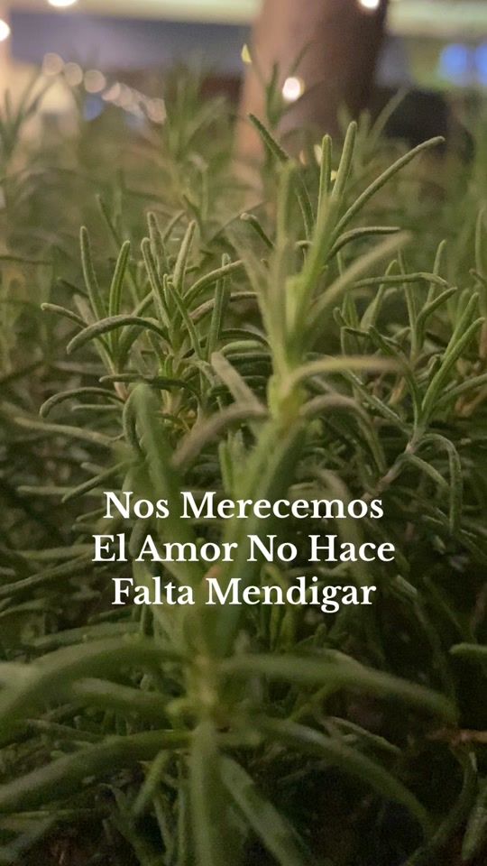 TikTok video thumbnail by amor.propio.2
