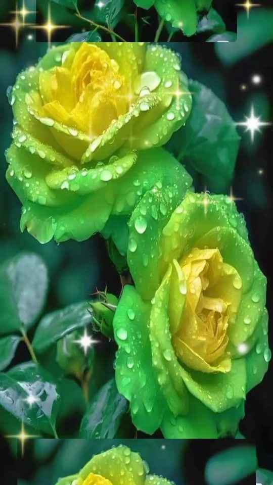 TikTok video thumbnail by elzbieta.danuta