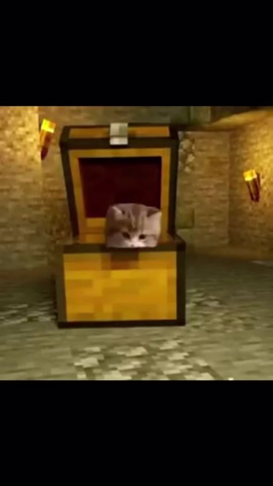 TikTok video thumbnail by sillyvids74