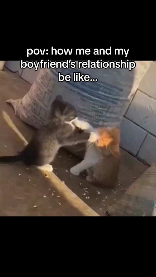 TikTok video thumbnail by the_relationship_memes