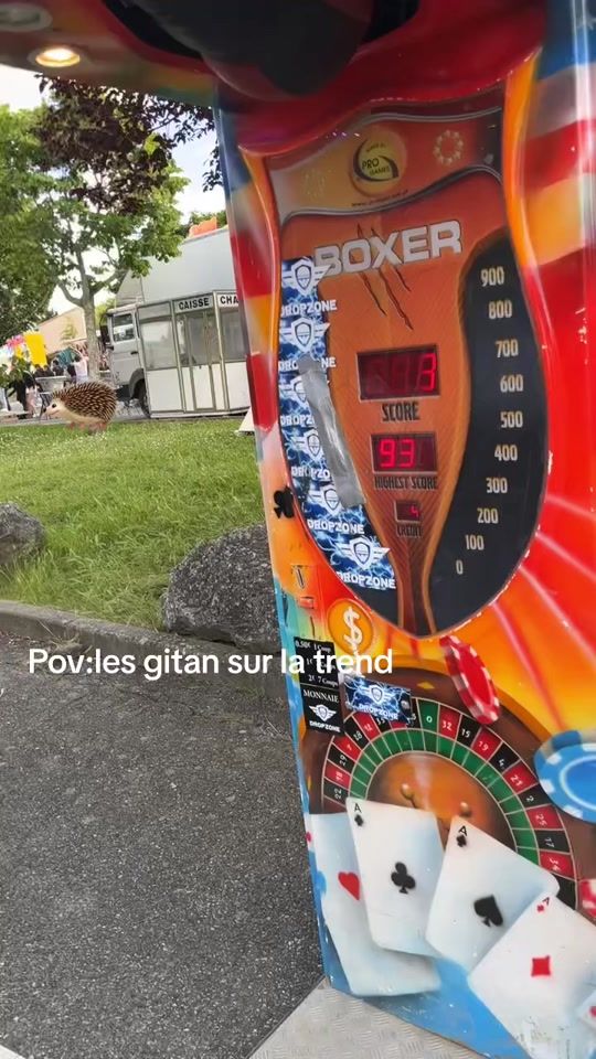TikTok video thumbnail by tony.ugal.boxe