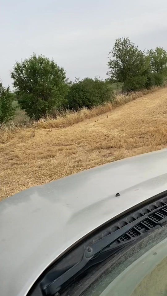 TikTok video thumbnail by andresito.a.m