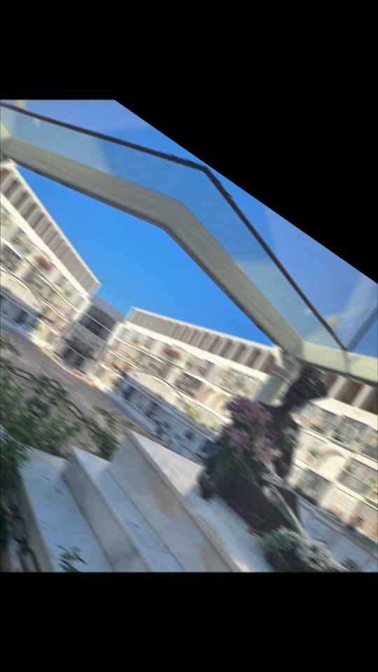 TikTok video thumbnail by isareinalopez