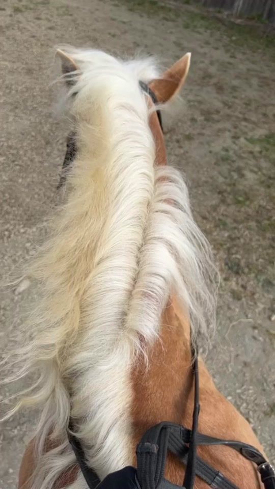 TikTok video thumbnail by marlenaequ