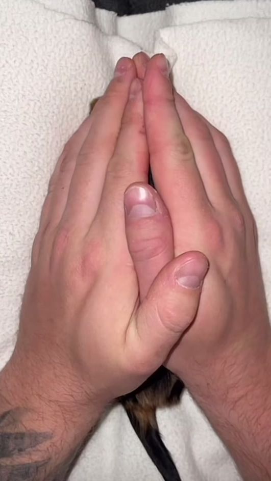 TikTok video thumbnail by prashantidogs