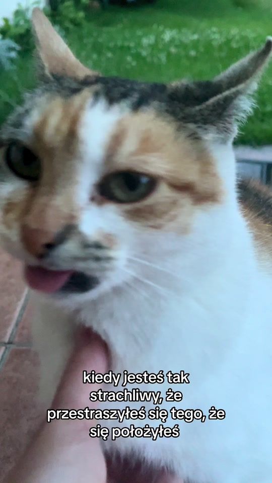 TikTok video thumbnail by about_os