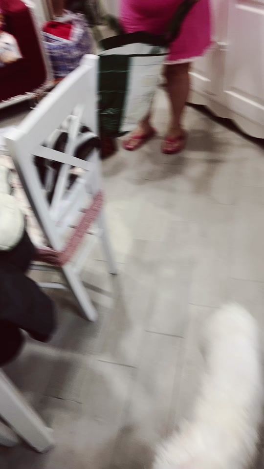 TikTok video thumbnail by francescocandida25