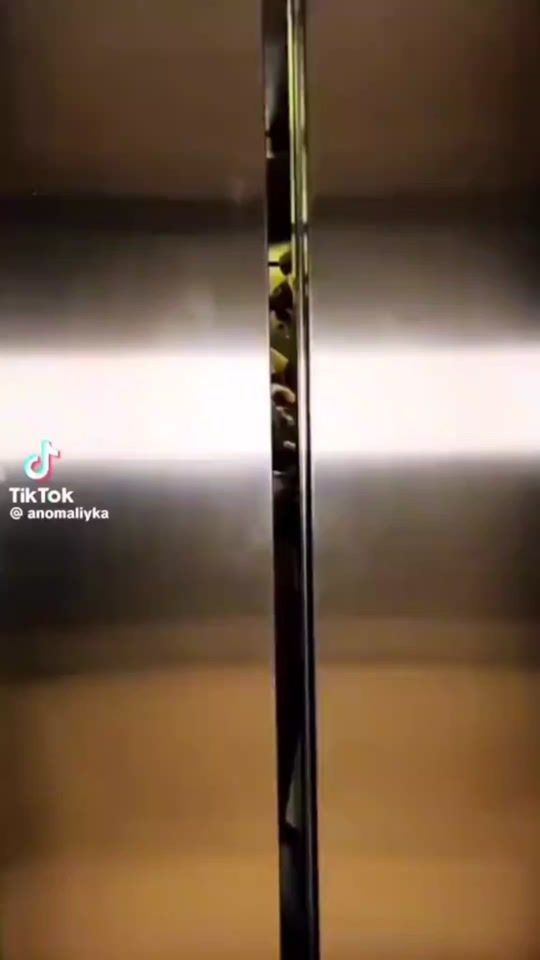 TikTok video thumbnail by florijosh