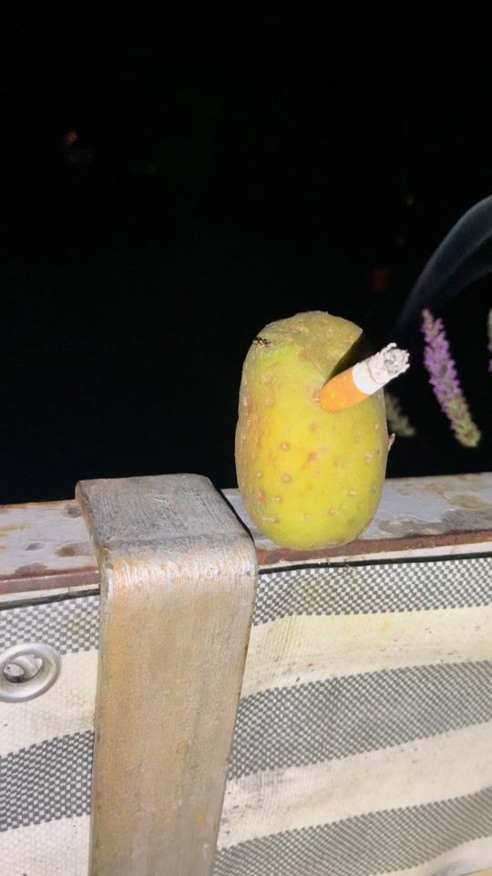 TikTok video thumbnail by potatoface10