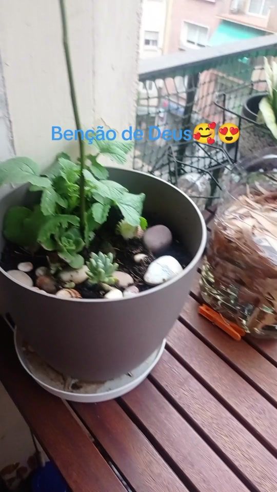 TikTok video thumbnail by jaisafarias6