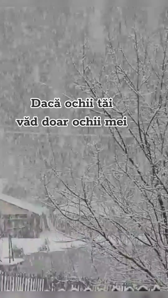 TikTok video thumbnail by and_reea__