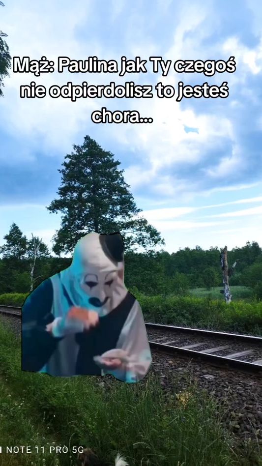 TikTok video thumbnail by pudernica_i_dragon