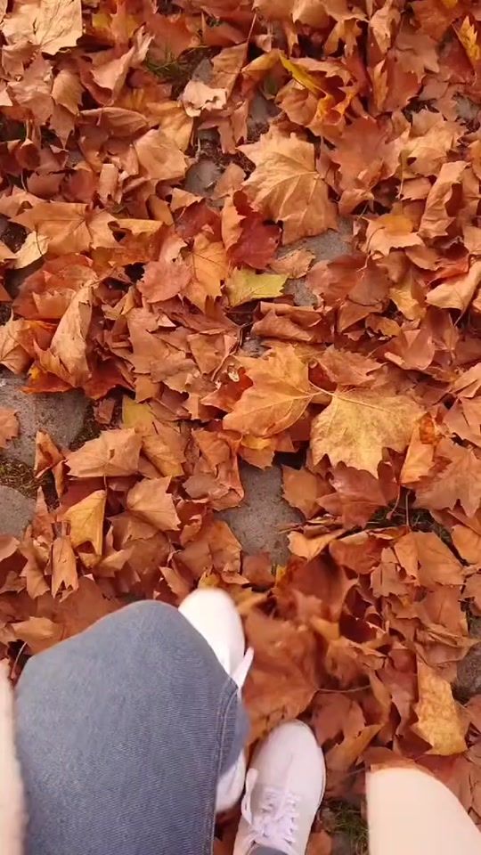TikTok video thumbnail by sallybakr