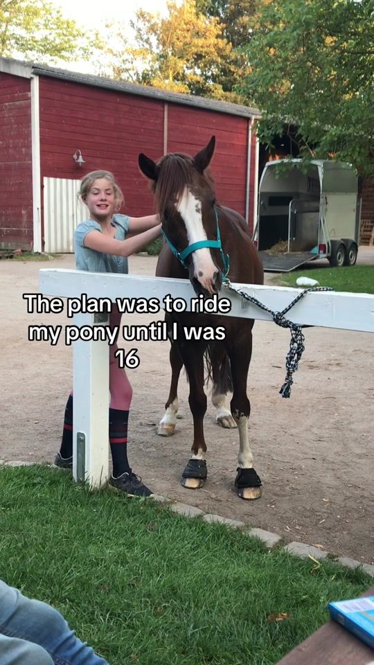 TikTok video thumbnail by hannahlilith.equestrian