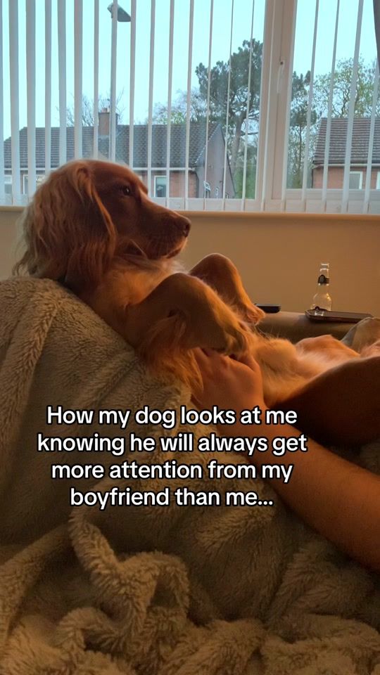 TikTok video thumbnail by teddyboycocker