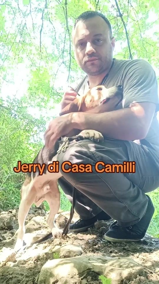 TikTok video thumbnail by cinofilia.camilli