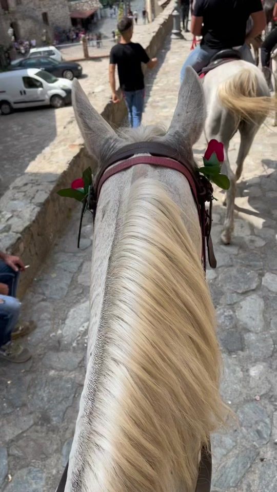 TikTok video thumbnail by roccoruffo