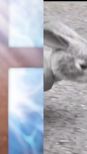 TikTok video thumbnail by 767bin