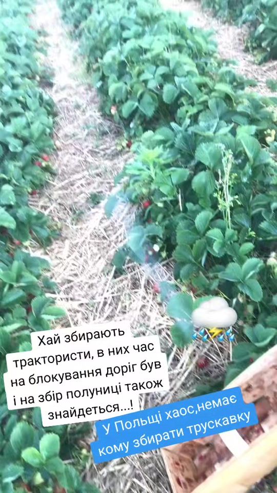 TikTok video thumbnail by nataliia_1980