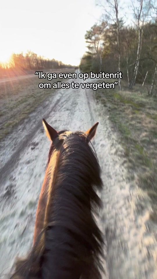 TikTok video thumbnail by dressage.moenza