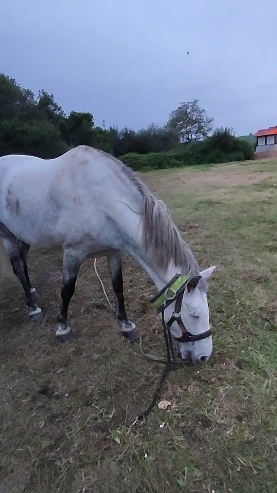 TikTok video thumbnail by cambumbomen