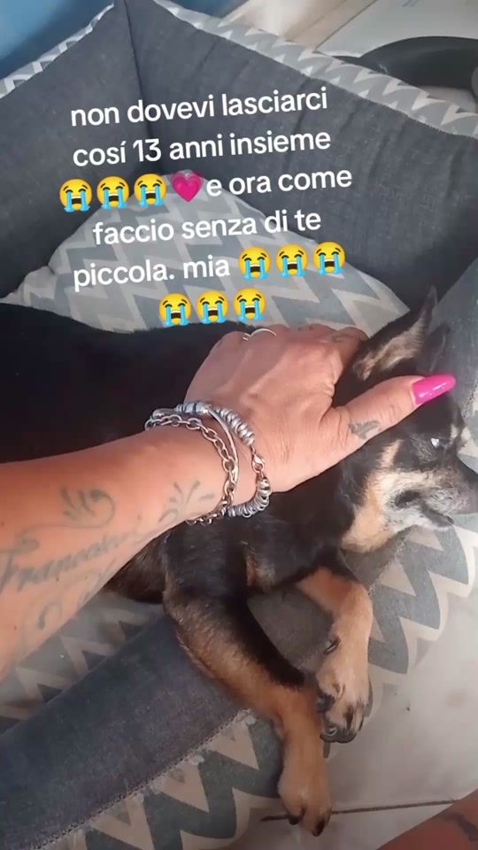 TikTok video thumbnail by lorylakis