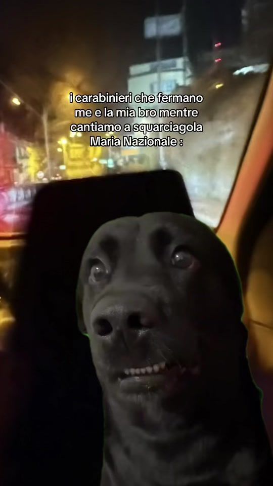 TikTok video thumbnail by michelesar___