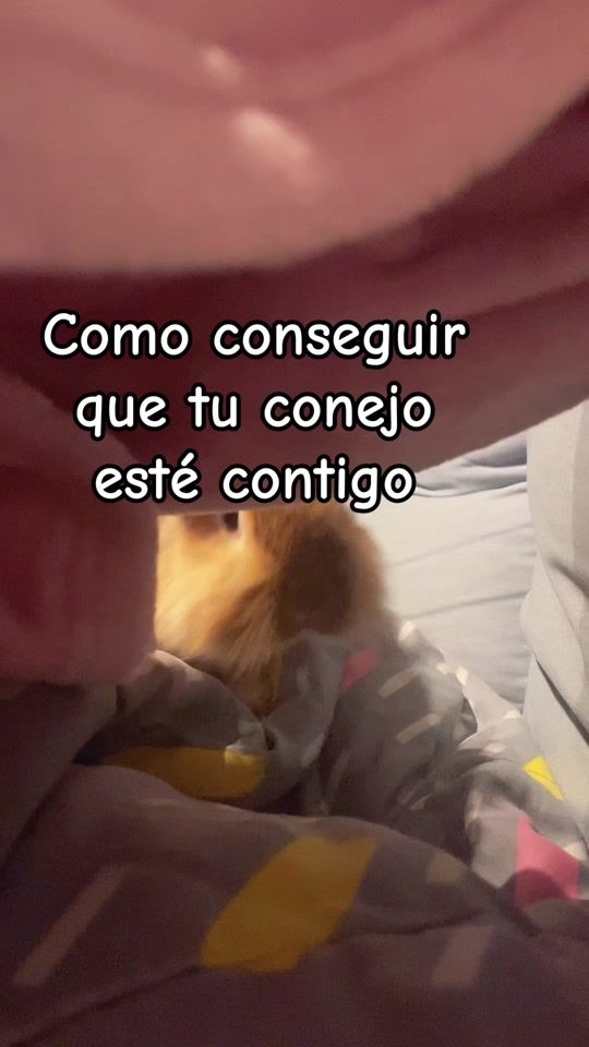 TikTok video thumbnail by leoncabezadeleon