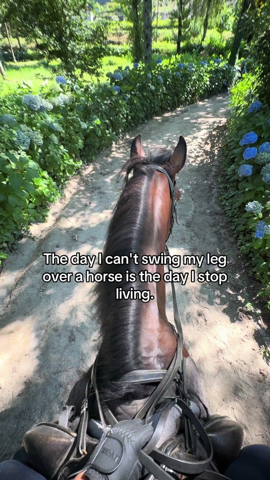 TikTok video thumbnail by filesandthehorses