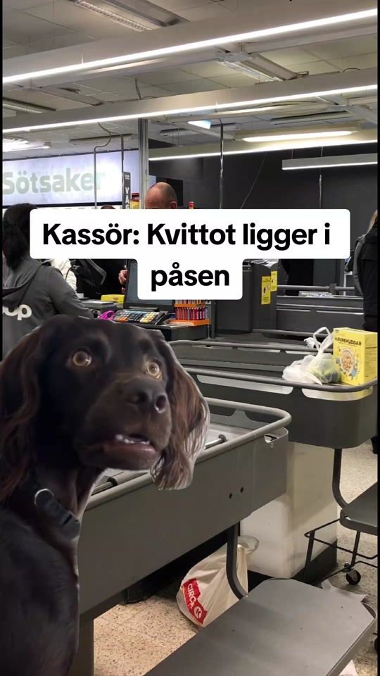 TikTok video thumbnail by kevinbystrom