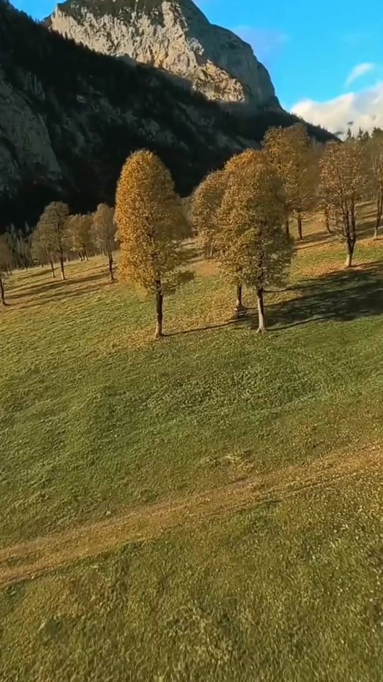 TikTok video thumbnail by italian.dudeman