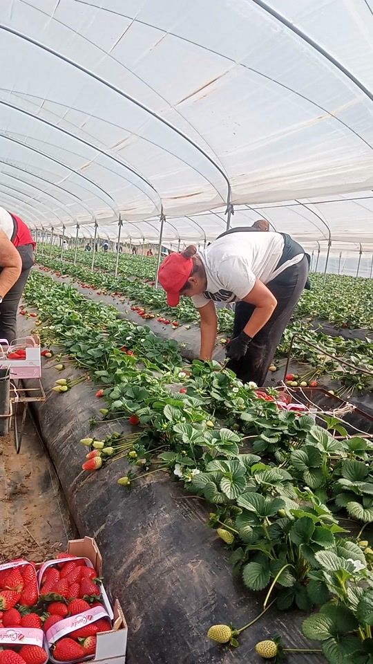 TikTok video thumbnail by mihaela8194