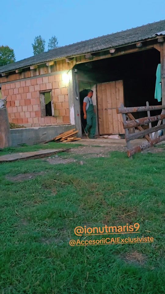 TikTok video thumbnail by roxanagheorghiu5