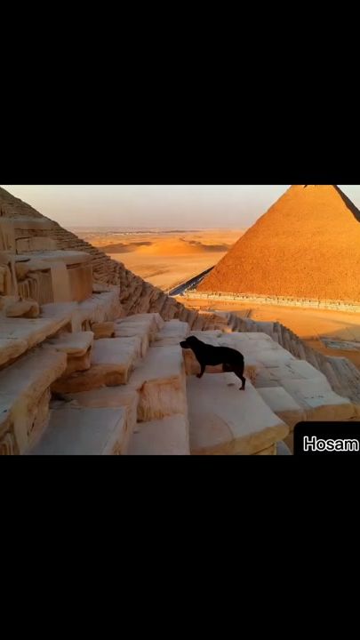 TikTok video thumbnail by hosam.reda