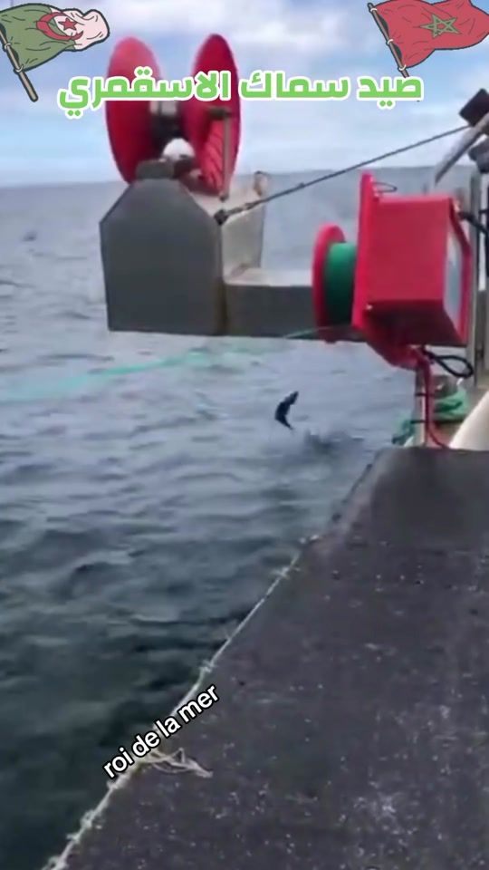 TikTok video thumbnail by fishing_marin