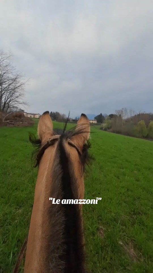 TikTok video thumbnail by 0lanzaaaa7