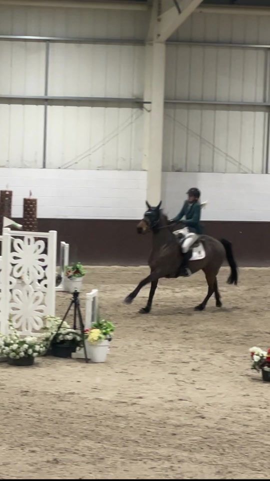 TikTok video thumbnail by lily.equestrianx