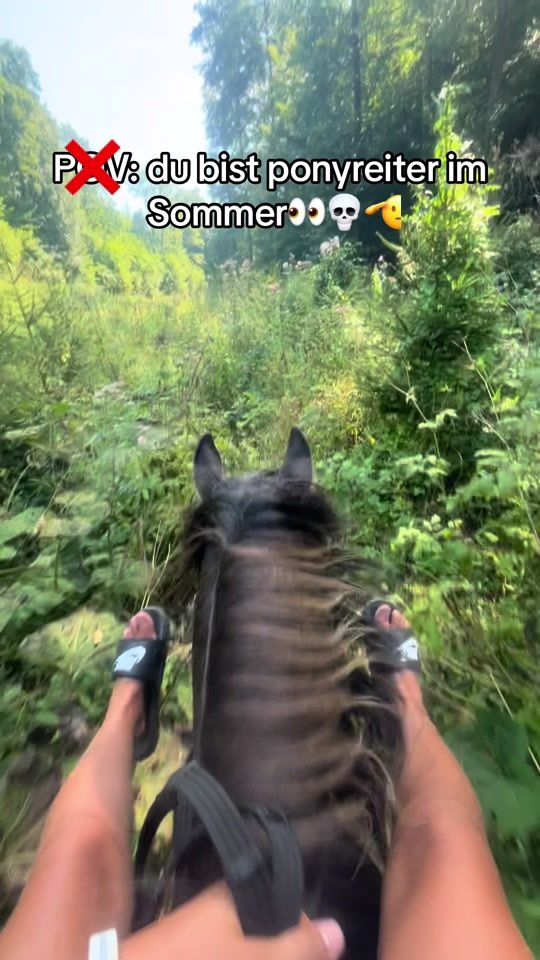 TikTok video thumbnail by die.coolen.pferdisss14