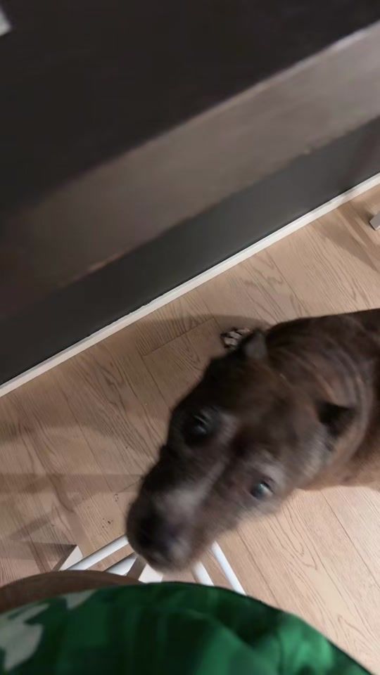 TikTok video thumbnail by babyn1na